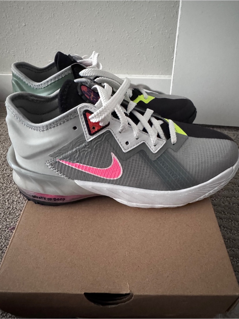 LeBron James Tune Squad Nikes